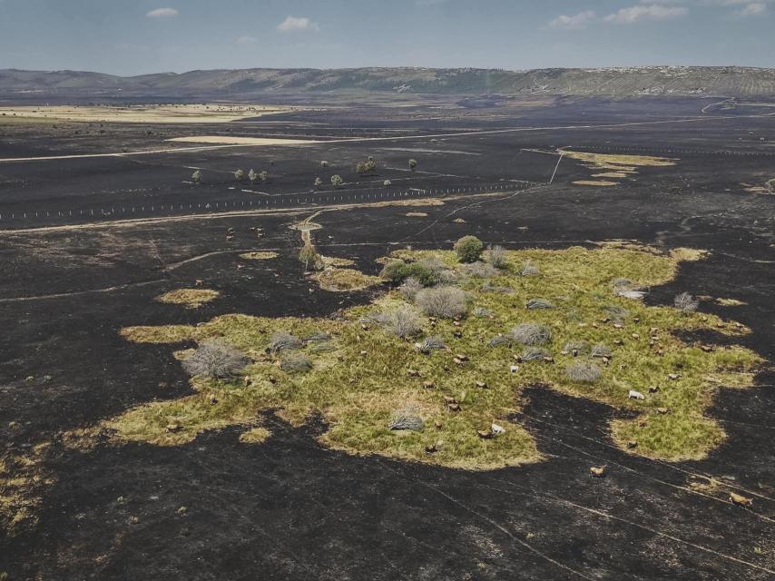 Incendio en Aliste cerca de Abejera (Zamora)