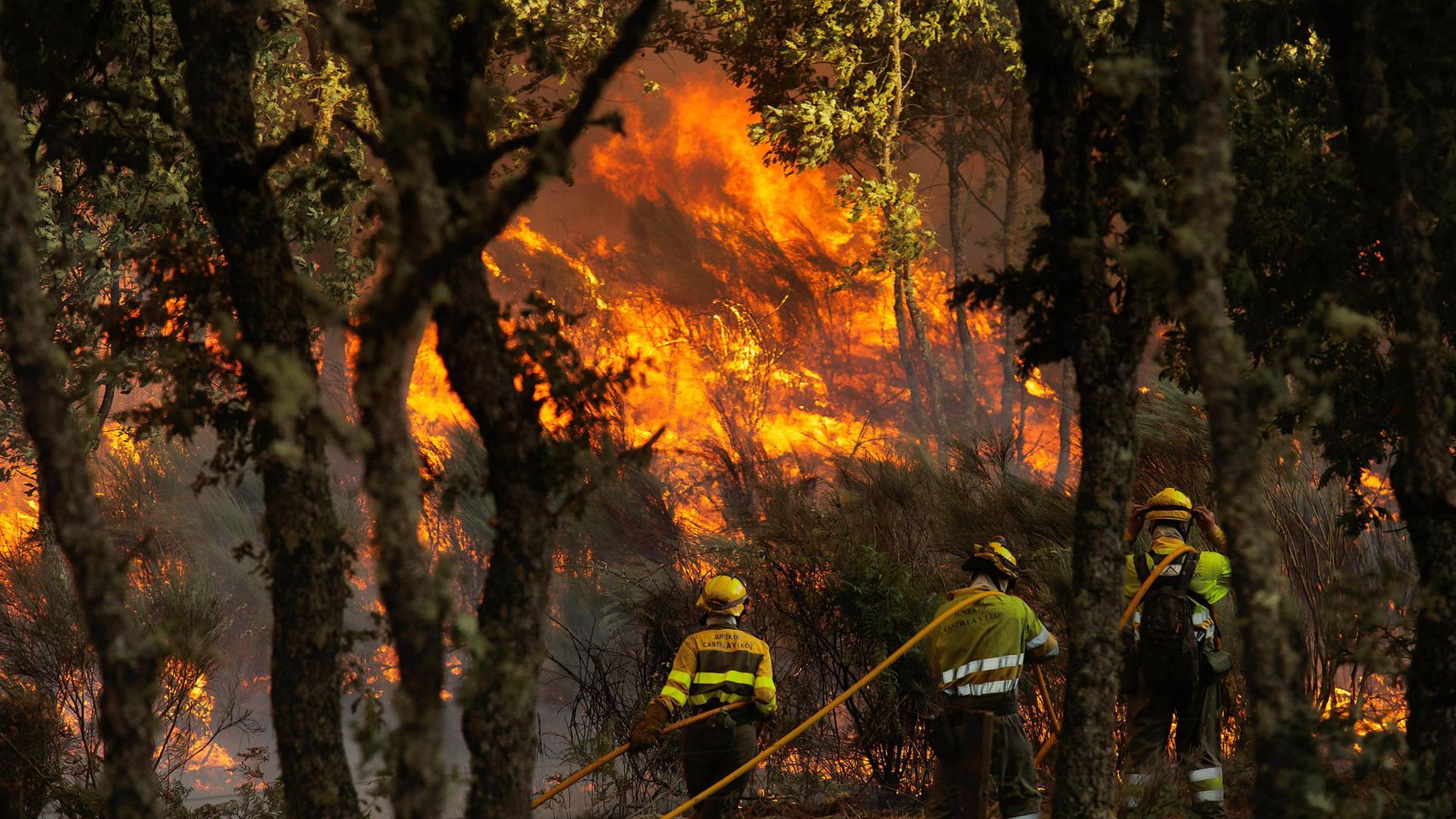 CSIF acusa a la Junta de despedir al 50% del operativo contra incendios ...