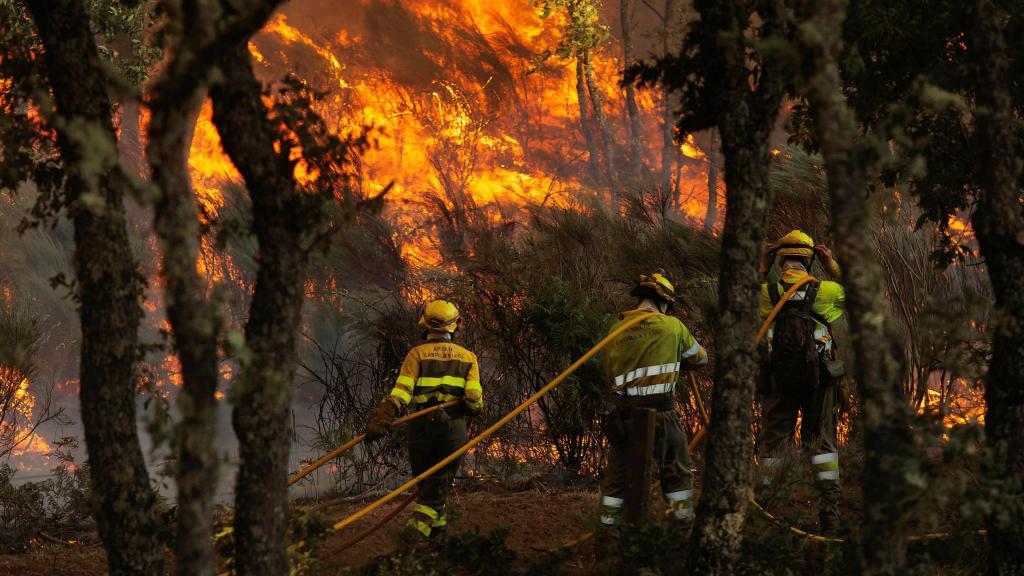 Bomberos forestales sofocando un incendio