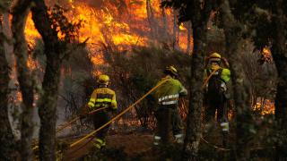 Bomberos forestales sofocando un incendio