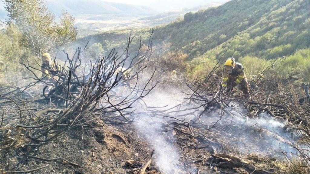 Un efectivo de Infoar intenta apagar las llamas del incendio de Barniedo de la Reina, en León