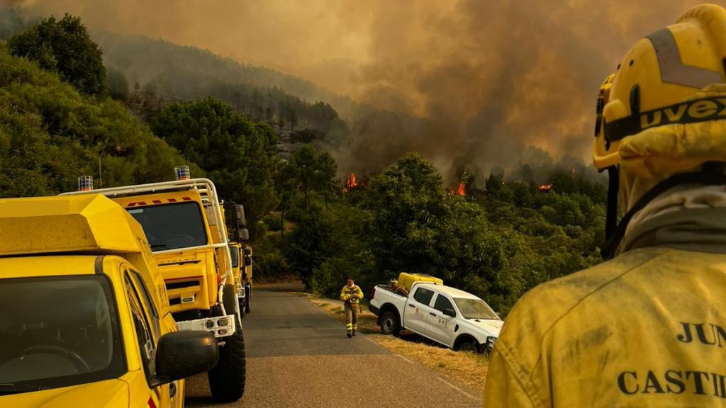 Bomberos forestales en una imagen de archivo