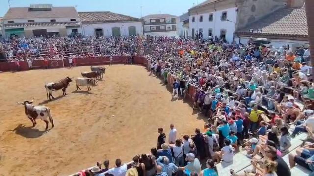 Fiestas de Lumbrales (Salamanca)