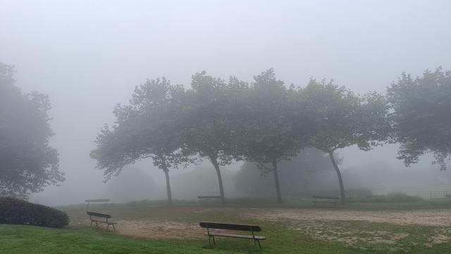 Niebla en el Monte de San Pedro