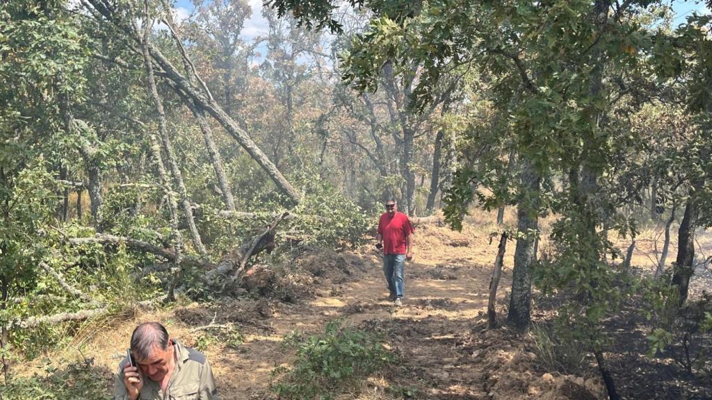 Incendio en Valdemerilla