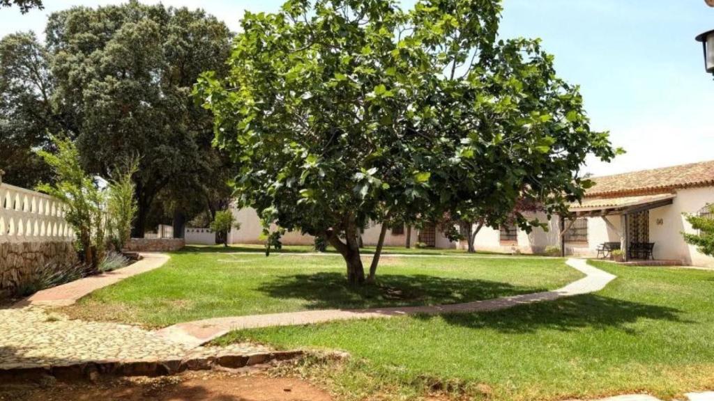 Finca en venta en Ciudad Real. Foto: Idealista.