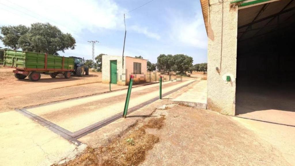 Finca en venta en Ciudad Real. Foto: Idealista.