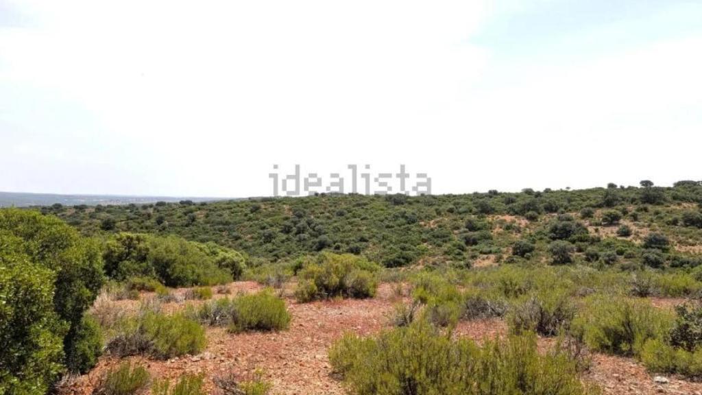 Finca en venta en Ciudad Real. Foto: Idealista.