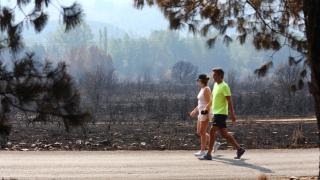 Efectos del incendio de Castropodame, en León