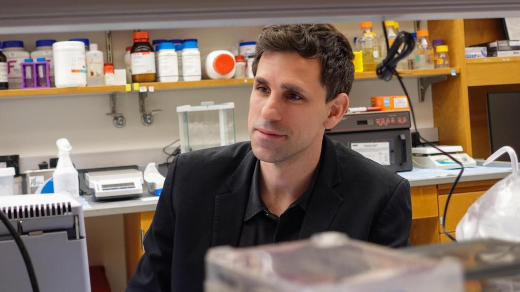 César de La Fuente, en su laboratorio.