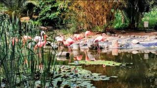 Jardín Botánico-Ornitológico El Retiro.