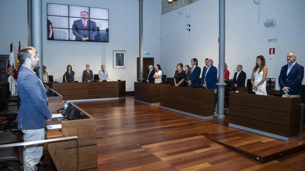 Pleno extraordinario de la DPZ