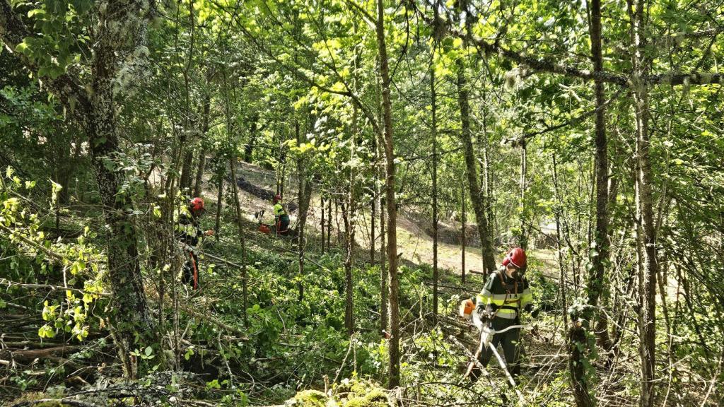 Un trabajador desarrolla labores de prevención de incendios