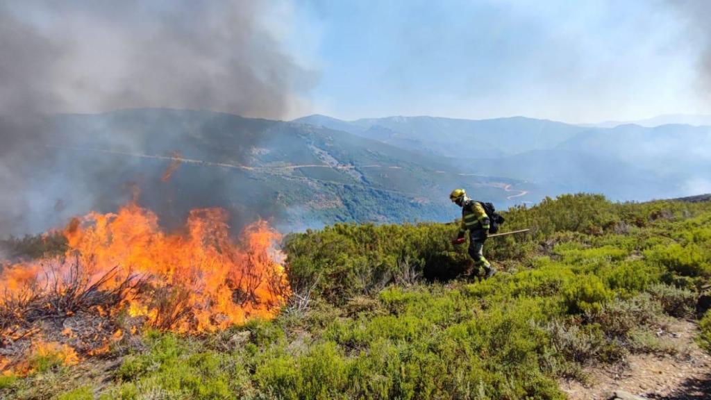 Incendio de Porto de Sanabria, en la zona de San Ciprián