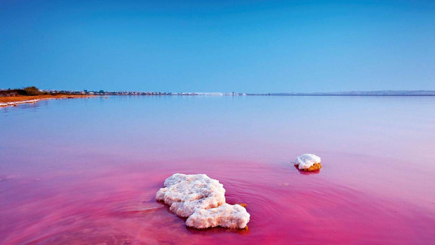 La Laguna Rosa de Torrevieja.
