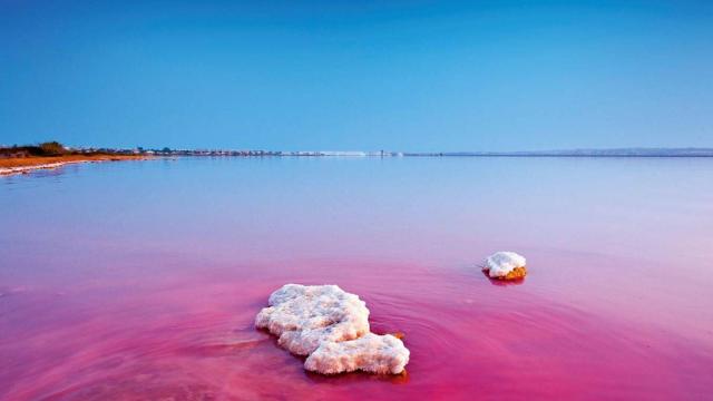 La Laguna Rosa de Torrevieja.