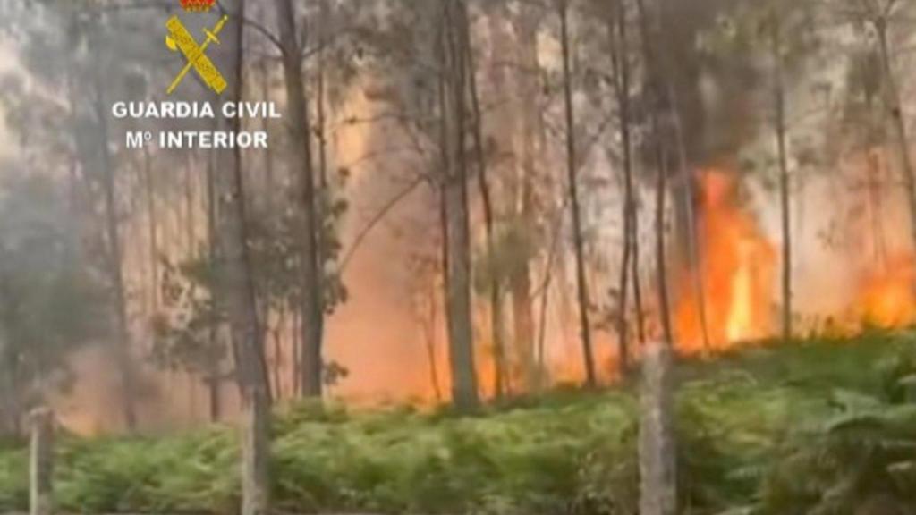 Incendio en el monte Codesal, en Salvaterra do Miño