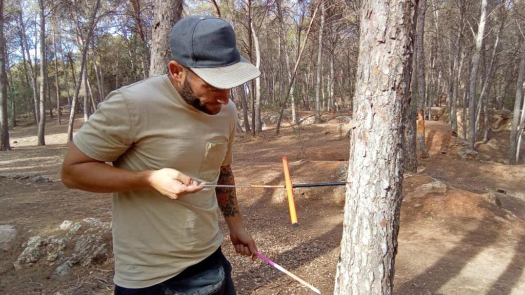 El investigador de la UCO Antonio Cachinero Vivar tomando muestras en un pino.