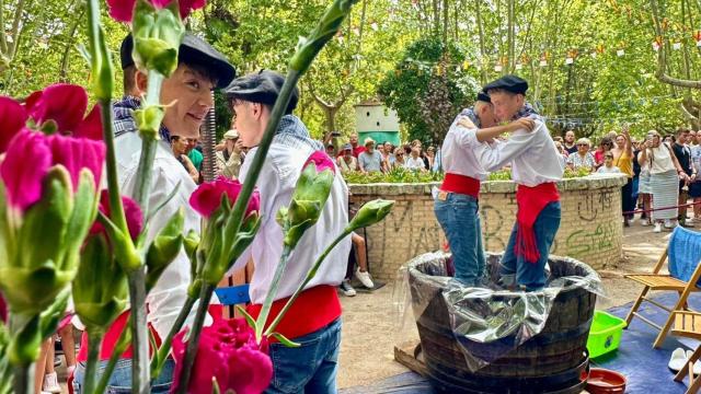 Fiesta del Vino de Méntrida.