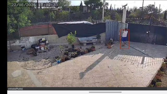El momento del atropello mortal grabado por la cámara de seguridad de la vivienda del fallecido.