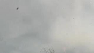 Incendio de Porto de Sanabria