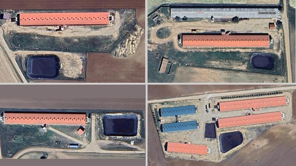 Vista aérea de las macrogranjas que ya funcionan en Carboneras de Guadazaón.