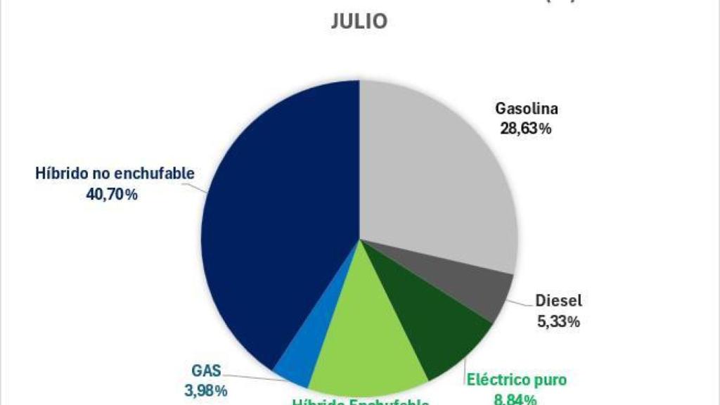 Gráfica de matriculaciones.