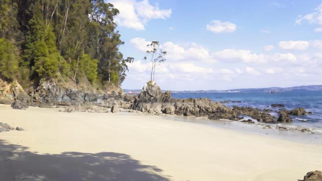 Playa de Os Lobos