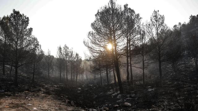 Incendio de Teresa de Cofrentes (Valencia). Efe / Manuel Bruque