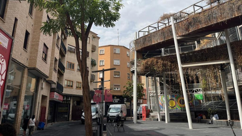 Jardín vertical en el barrio Delicias.