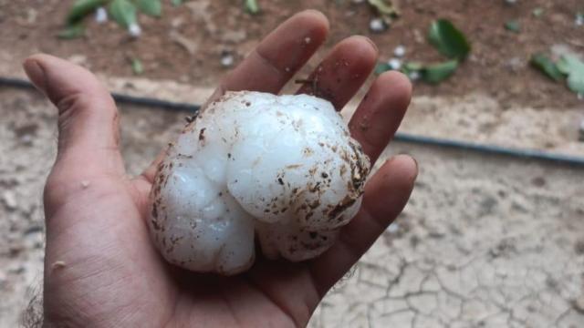 Bolas de granizo caídas este miércoles en Zaragoza.