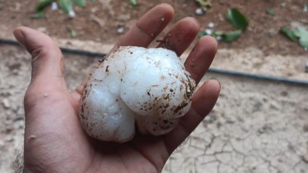 Bolas de granizo caídas este miércoles en Zaragoza.