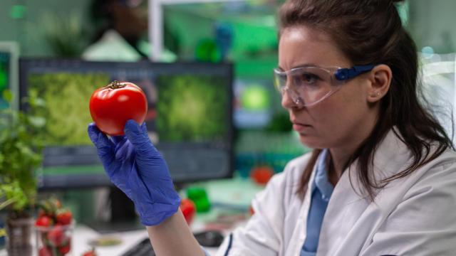 El sector 'foodtech' español busca consolidarse en un mercado mundial que vuelve a repuntar.