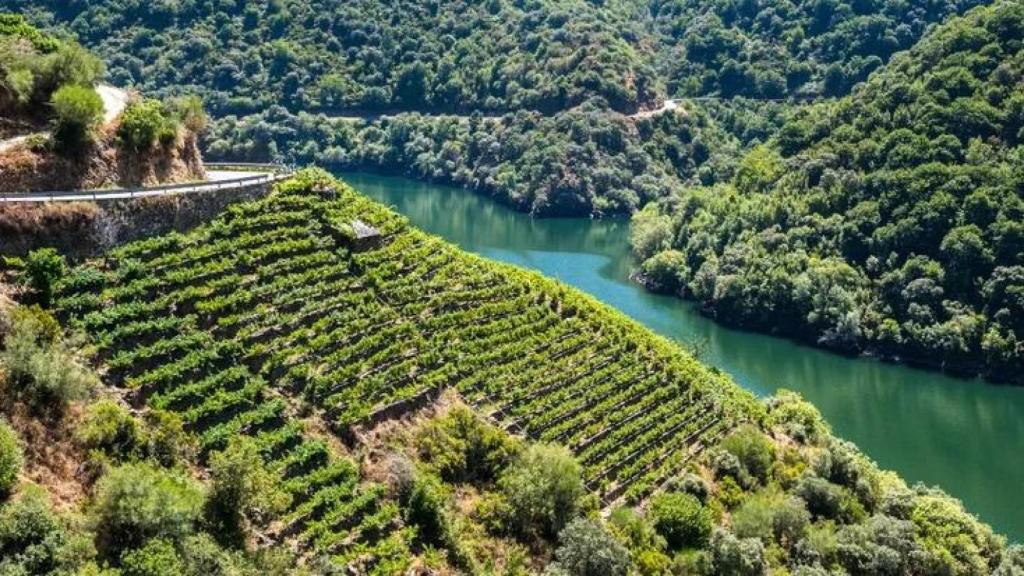 Ribeira Sacra.