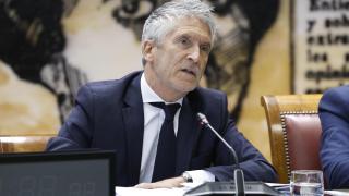 El ministro del Interior, Fernando Grande-Marlaska, este jueves en el Senado.