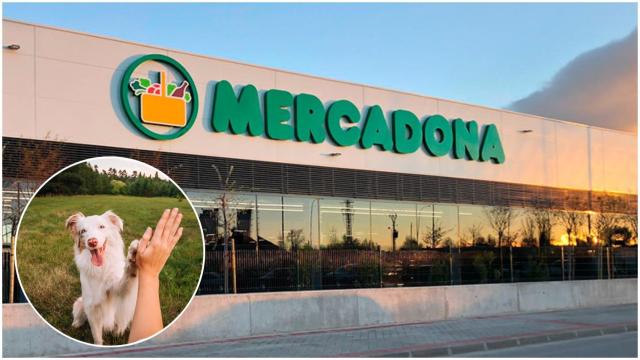 Fachada de Mercadona junto a un perro.