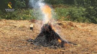 Imagen de la quema sin autorización.