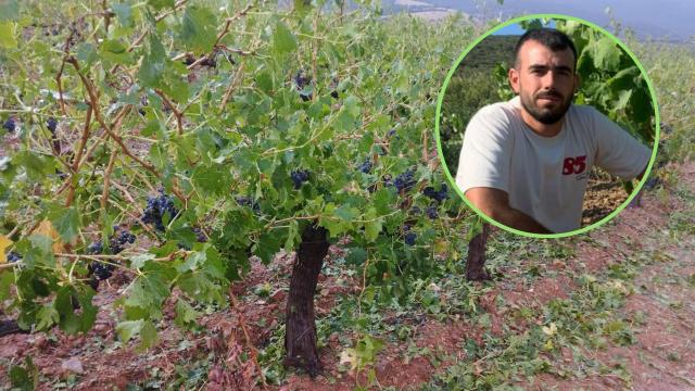 Nicolás Aldea es responsable del sector del vino en UAGA.