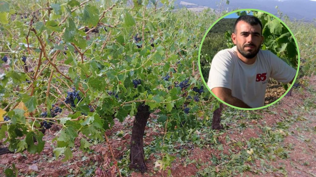 Nicolás Aldea es responsable del sector del vino en UAGA.