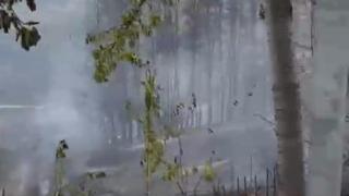 Video de Guardia Civil del desalojo de Berlanga