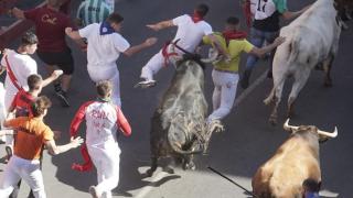 Quinto encierro de las fiestas de San Sebastián de los Reyes de 2025.