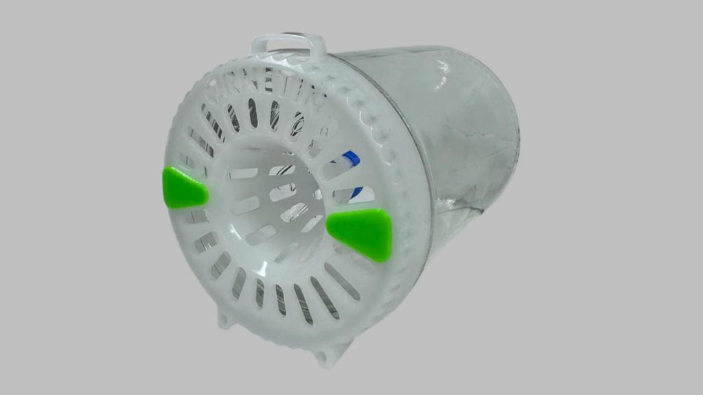 El invento de Ornetin que acaba con la avispa asiática.