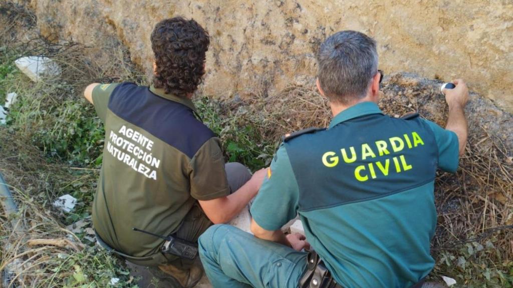 Guardia Civil