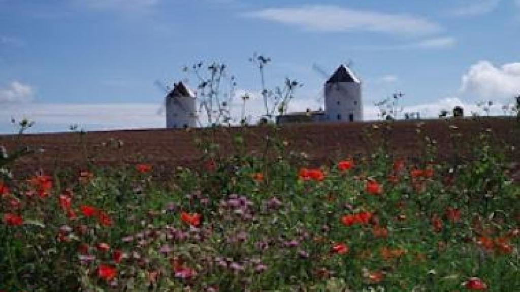 Vista de los dos molinos situados en Cuenca