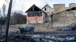 Una granja destruida por un incendio forestal.