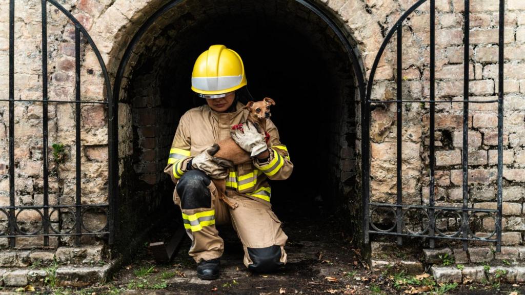 Un bombero rescatando a un perro.