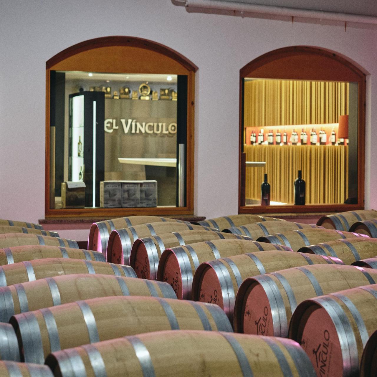 Bodegas de El Vínculo en Campo de Criptana.