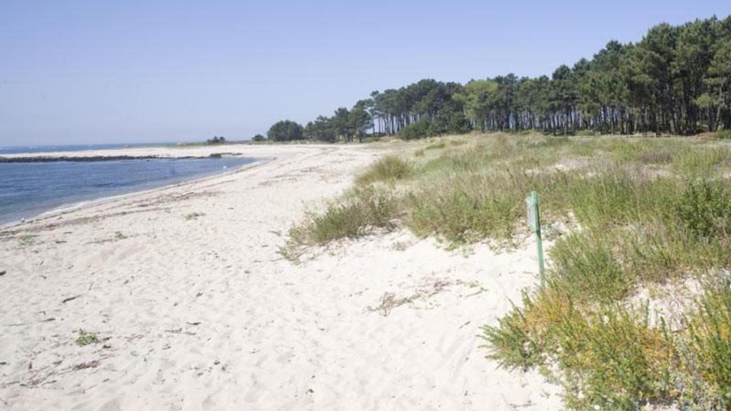 Playa A Lamiña, en A Guarda