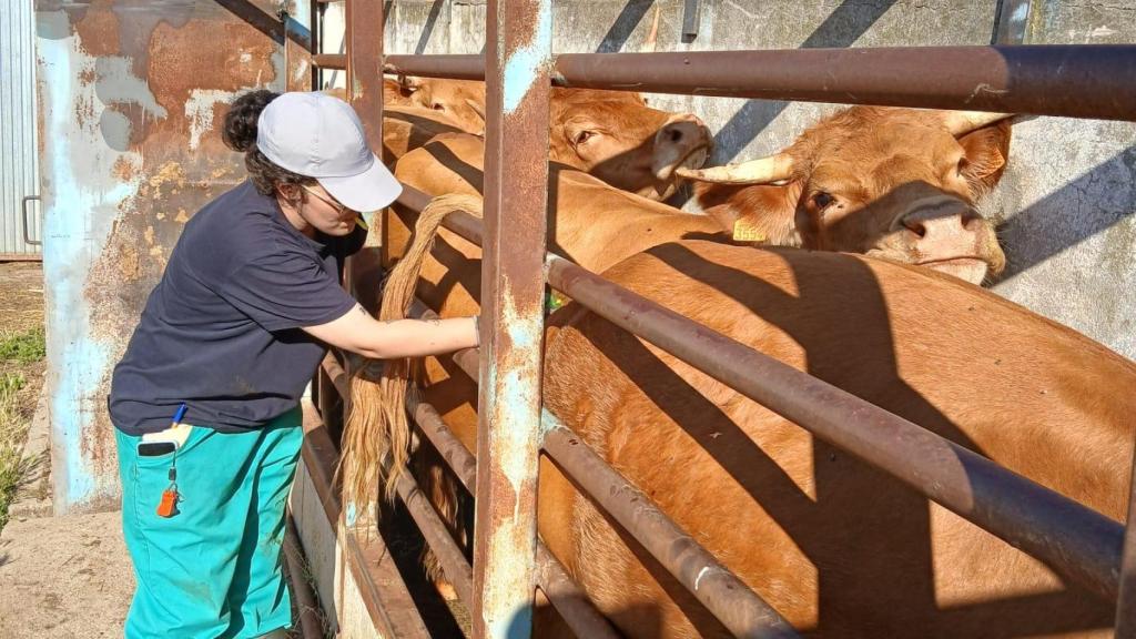 Sandra De los Caminos Osorio en una granja con una vaca.