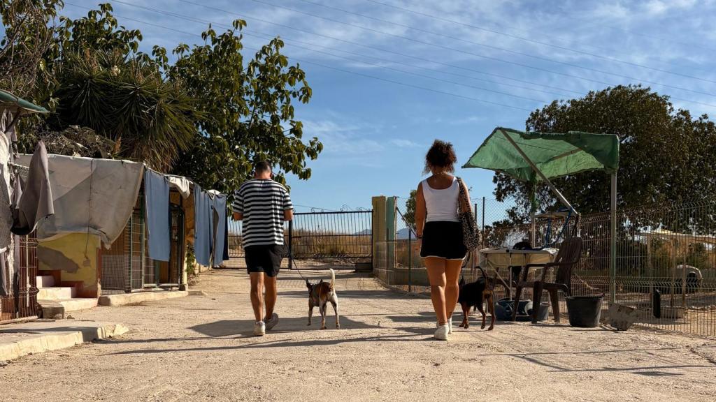 Dos voluntarios de Asoka sacando  a los animales a dar un paseo